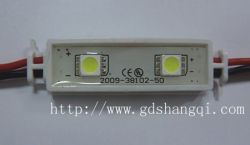 Constant Current Waterproof 2leds 5050 SMD module 