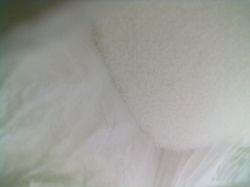 urea