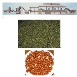 Fried peanut/beans processing line