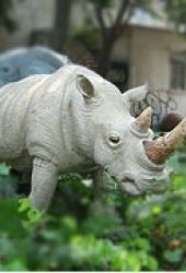 Amusement park equipment of animals