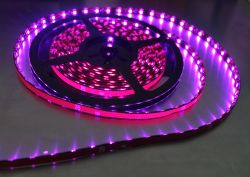 High Lumen 5050  30led Smd Flexible Strip