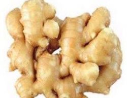 Ginger Extract