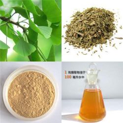 Ginkgo Biloba Extract 24%/6%