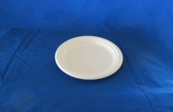 Disposable  Dinnerware   7\" Round Plate