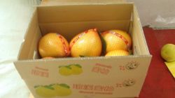 Supply Fresh Honey Pomelo