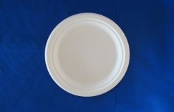 Paper Pulp Tableware   9\" Round Plate