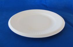 Disposable  Dinnerware   8\" Round Plate