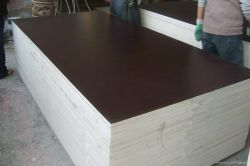 Film Faced Plywood/Construction Plywood/Cement ply