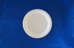 Biodegradable  Food Container  8\" Round Plate
