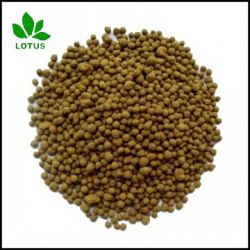 Seabird Guano Phosphate For Fertilizer P2o5