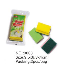 Sponge Scour 8003