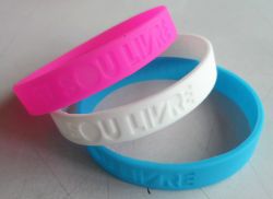 Cheap Wrist Band/Bracelet