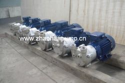 2bv Series Liquid Ring Vacuum Pumps And Compresso