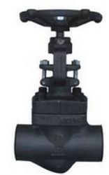 Forged Globe Valve