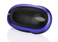 Portable Speaker