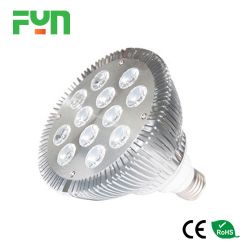 Led Spotlight Par38 12w