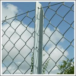 Galvanized chain link fence 