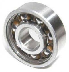 Stainless Steel Bearing