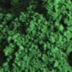 Sulphur Bril Green Gb(100%)