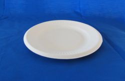 Disposable Tableware  7\" Round Plate