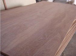 Okoume Plywood