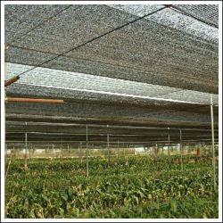 sunshade mesh ( manufacuter & exporter)