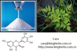 Kingherbs Dihydromyricetin