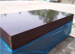 Film Faced Plywood/construction Plywood/cement Ply