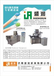 Corn Flakes Processing Line