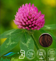 Red Clover Extract 20% Isoflavones 