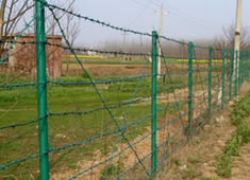 PVC Coated Barbed Wire(Manufacture)