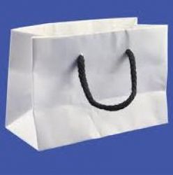 white kraft paper bags 