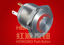 Ring Illuminated Metal Push Button Switch Hbgq16h-