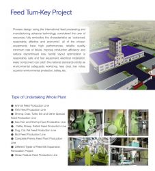 Feed Turn-key Project 