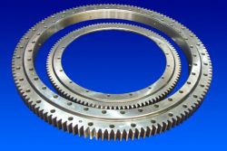 Ferris Wheel Slewing Ring Bearing