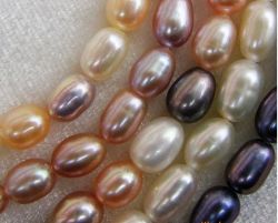 natural freshwater pearl beads