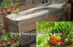 Vegetable Washing Machine Equipment