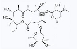 Offer Clarithromycin ,biaxin  Cas No 81103-11-9