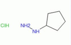 Cyclopentylhydrazine hydrochloride