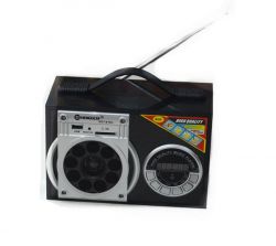 Fm Radio With Romote Function Sgy-015u