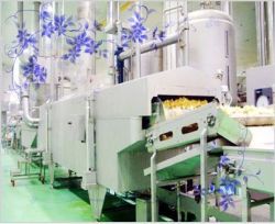 frying machine for snacks / food frying equipment