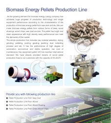 Biomass Energy Pellets Production Line 