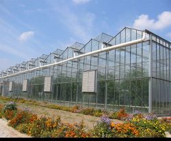 The Glass Greenhouse In Hot