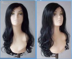 Human Hair Wigs