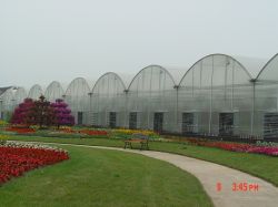 The Multi-span Greenhouse