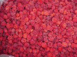 Low Fat Healthy Snacks Frozen/iqf Raspberry