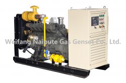 Biogas generator set 5kw-300kw 