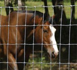 Grassland Fences