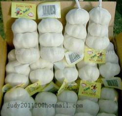 Pizhou White Garlic