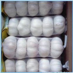 4pcs pure white garlic